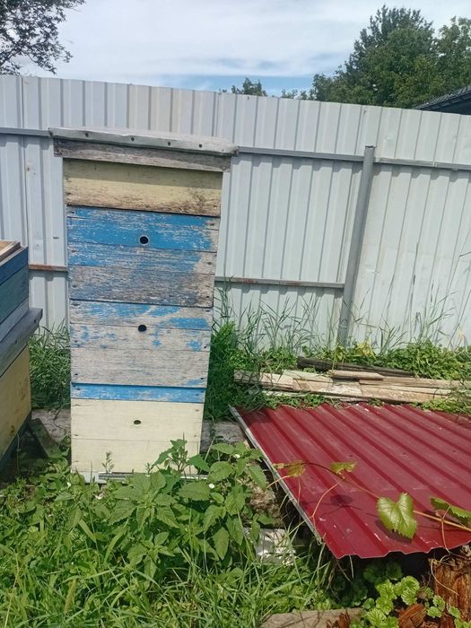 Продам вулики с.Обухів Вінниця