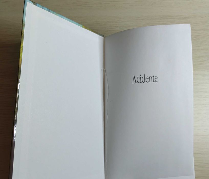Acidente de Danielle Steel