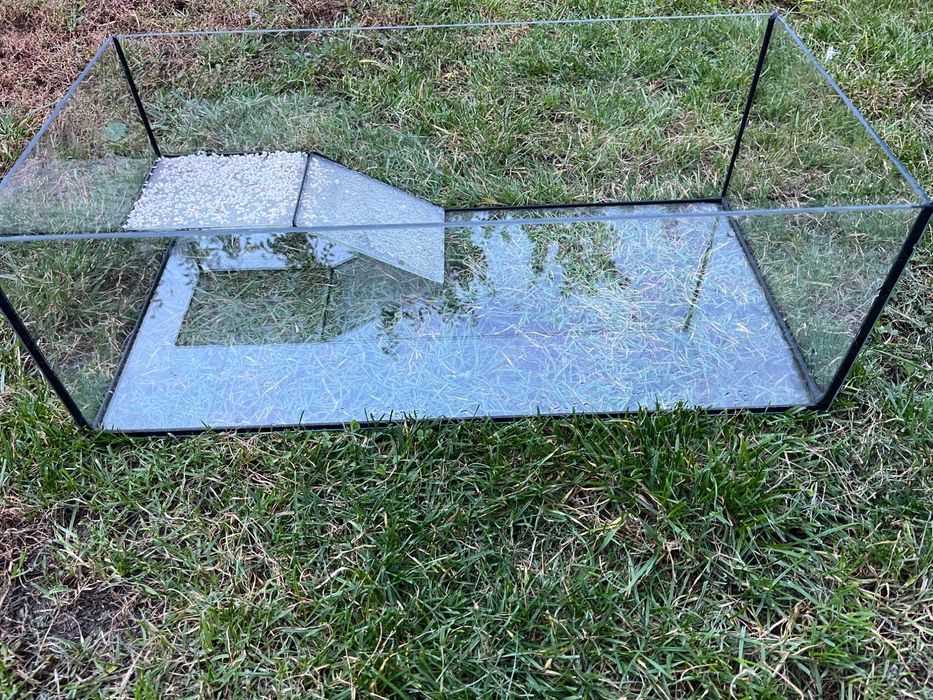 Terrarium dla żółwia
