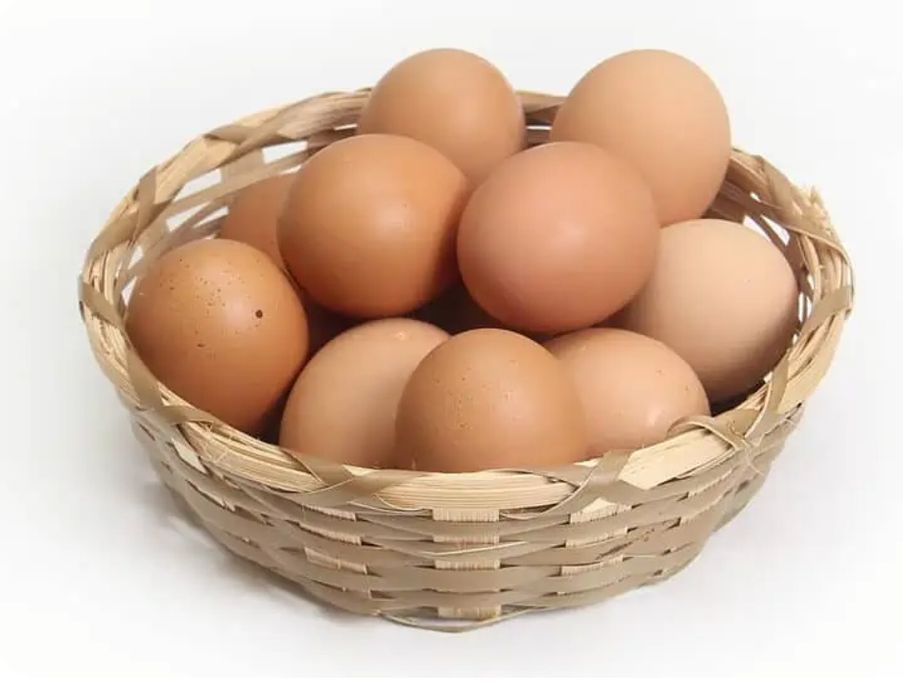 Ovos de faisão de coleira e galinha
