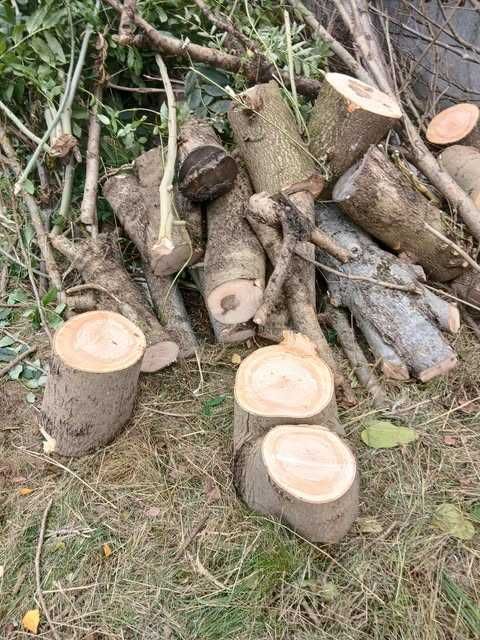 Drewno na opał, w kawałkach