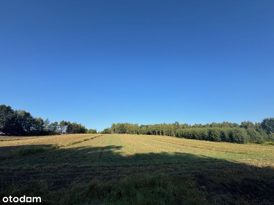 Działka rolna na sprzedaż | 5 605 m² | Jankowice - Widok 2