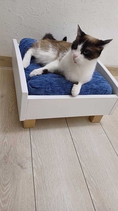 Лежак для кота або маленької собачки