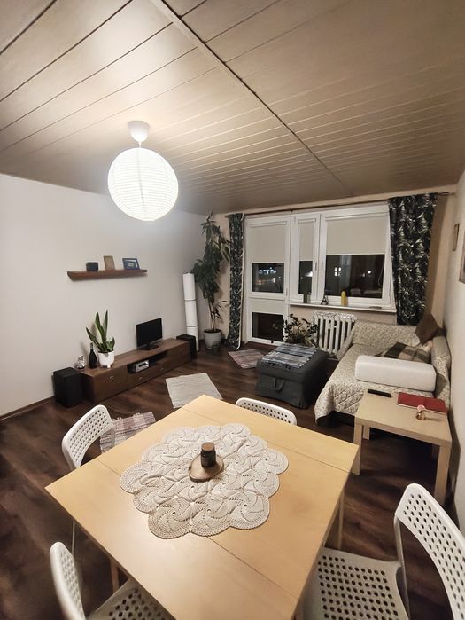 Wynajem Mieszkania Wysockiego Grunwald