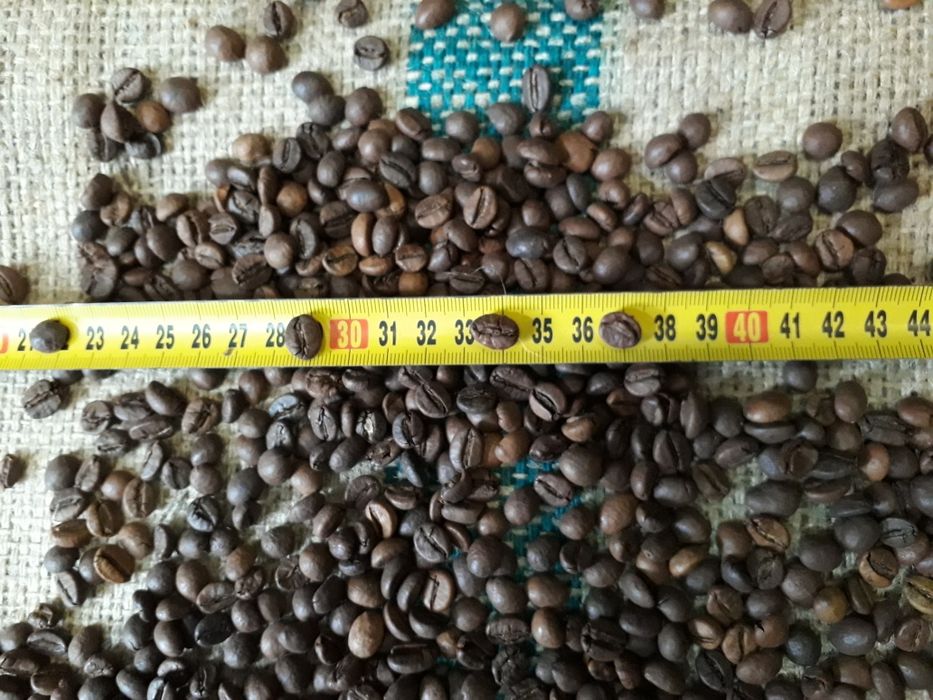 Кава / Кофе в зернах В'єтнам WP 18 scr.