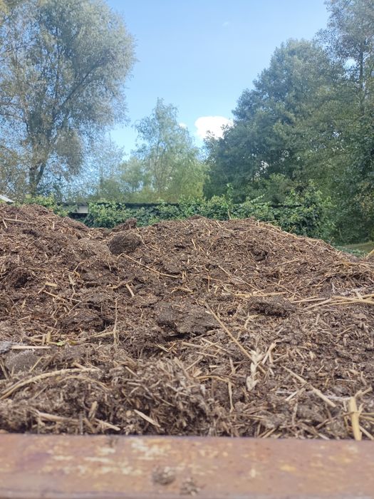 Obornik kurzy sezonowane