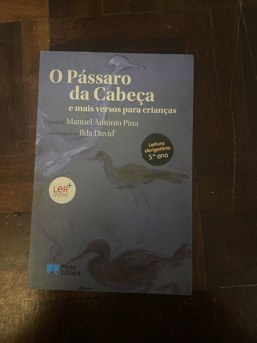 O Pássaro da Cabeça