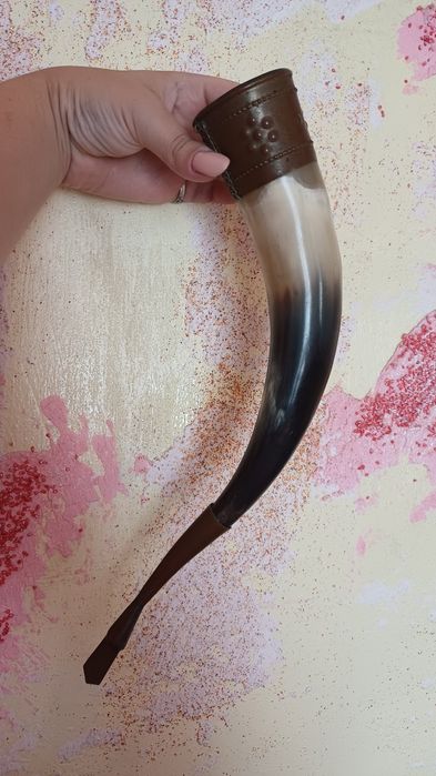 Ріг натуральний 31см довжиною