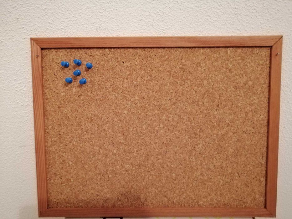 Painel cortiça com pins