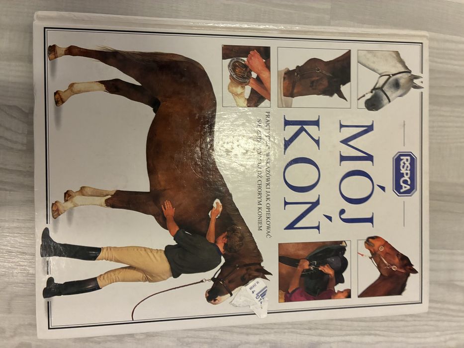 Mój koń, praktyczne wskazówki jak opiekować się…