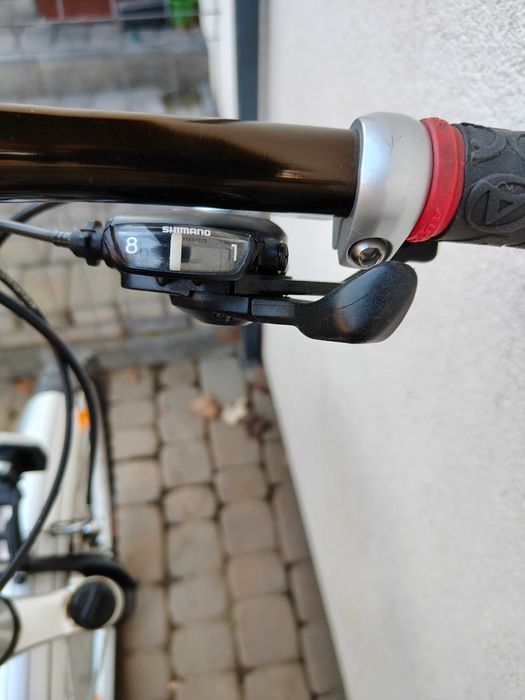 rower Author Basic SX