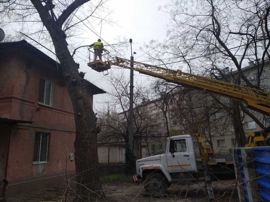 Спил и обрезка деревьев, кронирование