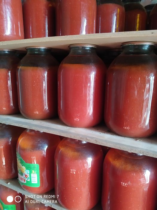 Томатный сок. Домашние помидоры 2024