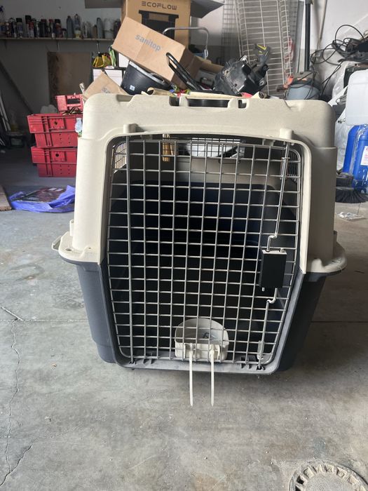 Caixa transportadora