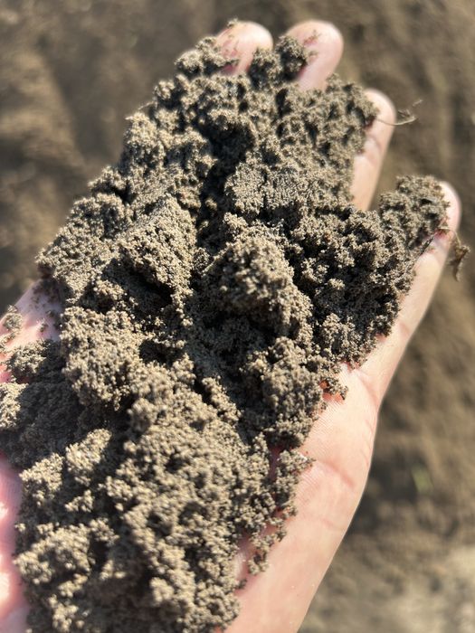 Ziemia. Piasek zwir podsyp