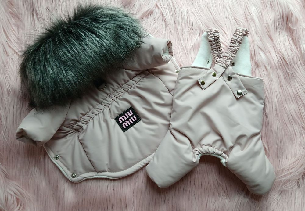 Одяг для собак та котів