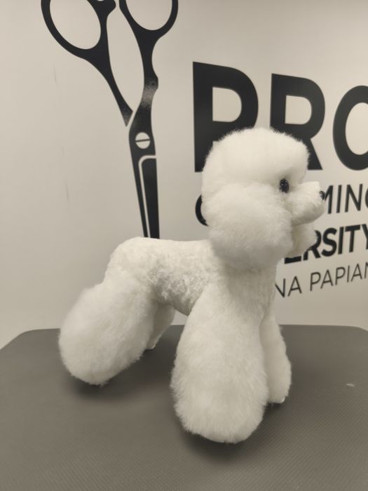 Професійний грумінг собак