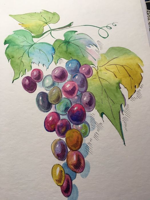 Зроблю розпис стін офісів, квартир, тощо