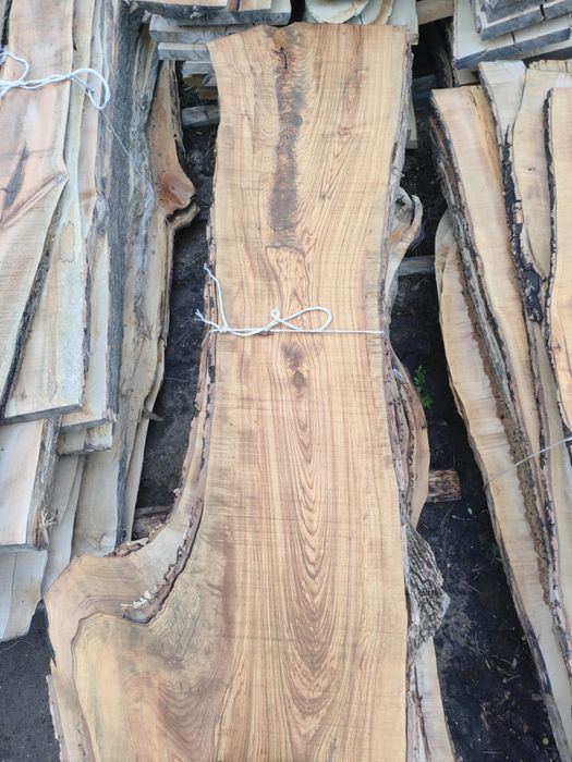 Duże plastry drzewa