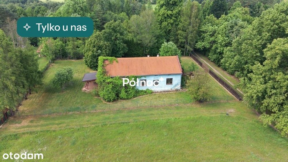 Urokliwy dom w otoczeniu lasów Czepurka