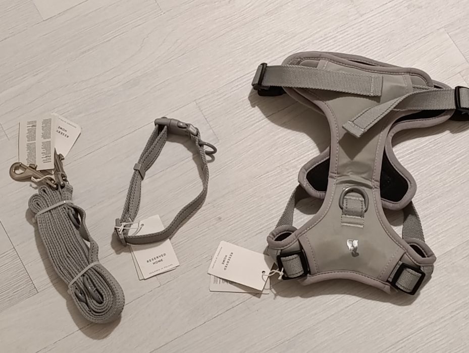 Амуніція для собаки