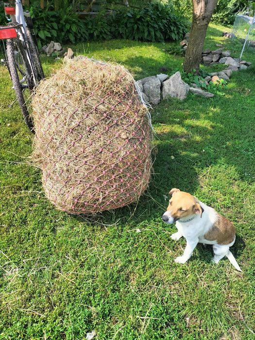 Рептух, сітка для сіна, повільна годівниця