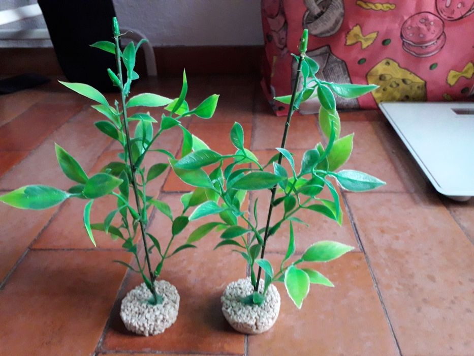 Decoração de Aquário