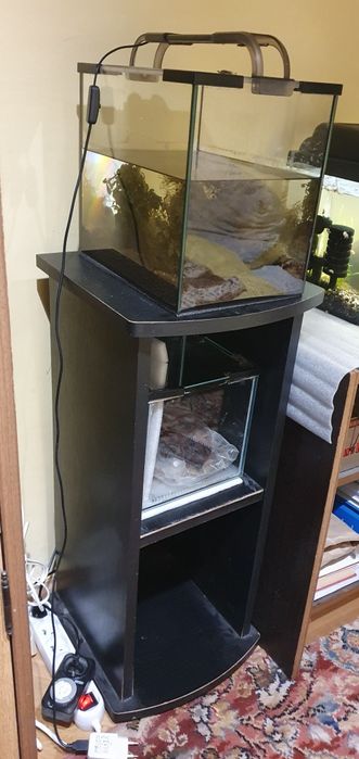 krewetkarium, akwarium 14L