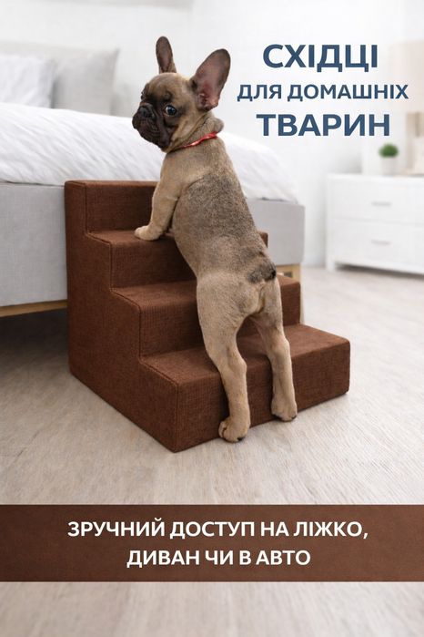Драбинка-Сходинка для собак — турбота, комфорт і любов у кожному кроці