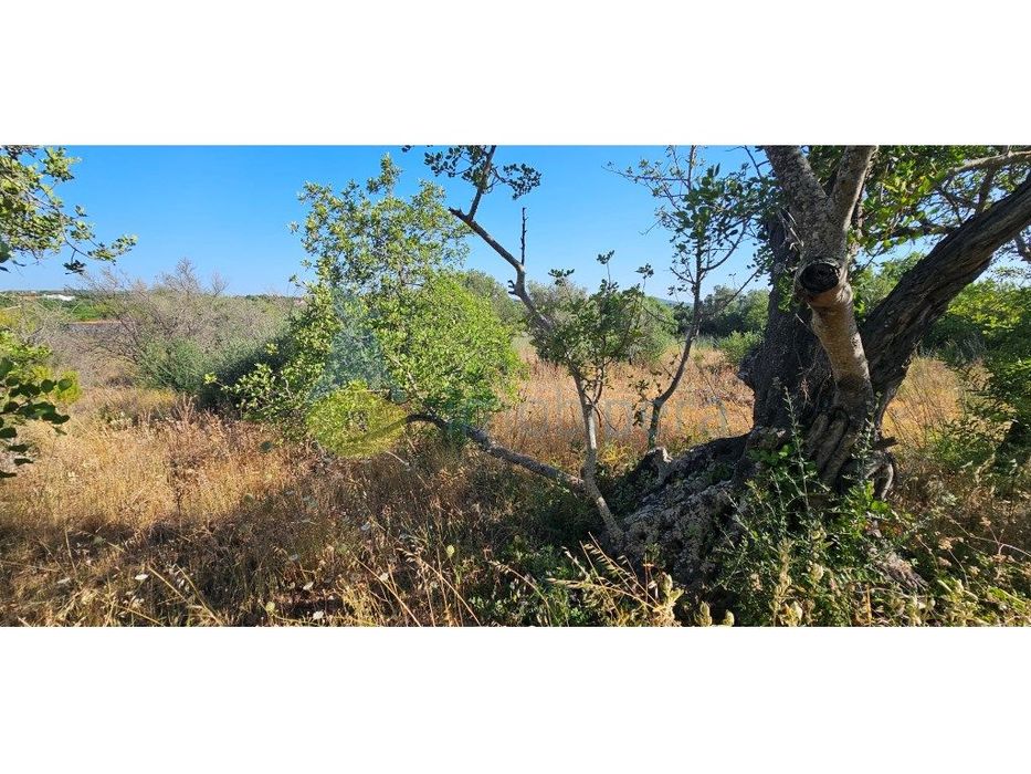 Algarve, Vale da Vila, Silves, terreno rústico!