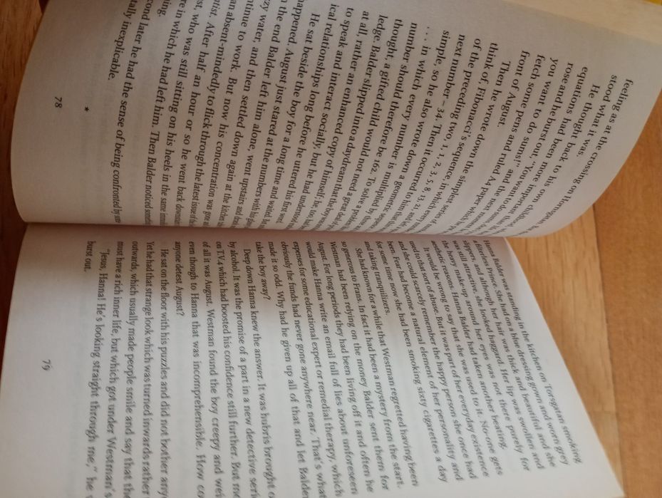 D. Lagercrantz - The Girl in the Spider's Web