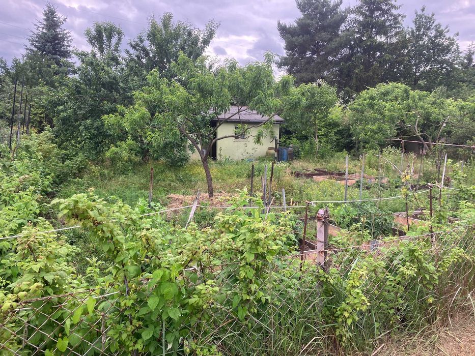 działka ROD Stablowice -  Spokojna Dolina - Widok 2