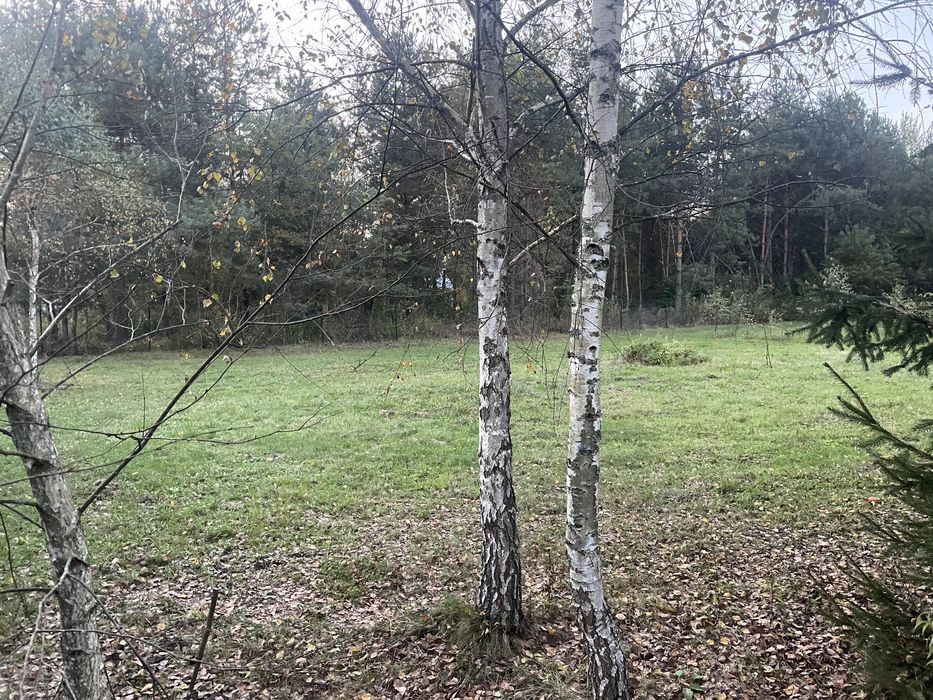 Działka budowlana 7 ar z WZ