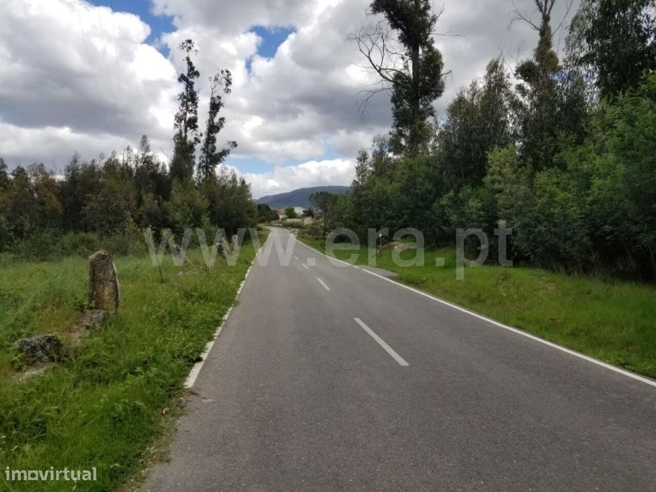 Terreno / Gouveia, Moimenta da Serra e Vinhó
