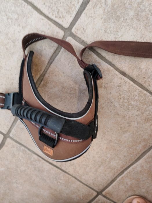 Corpete para cão. De porte médio "grande"