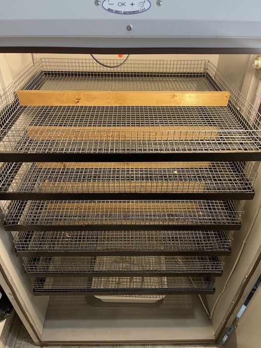 Інкубатор Бест 1000-1200