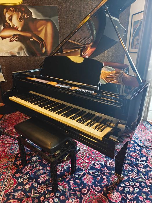Piano de cauda Bösendorfer 200 rigorosamente impecável