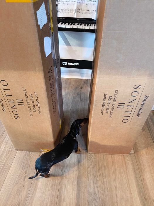 Sonus Faber Sonetto III - stan idealny