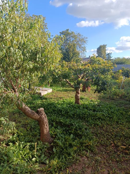 Продаж нового цегляного будинку в центральній частині міста.