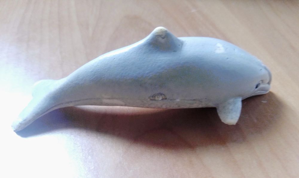 Golfinho do Filme Flipper 1996.