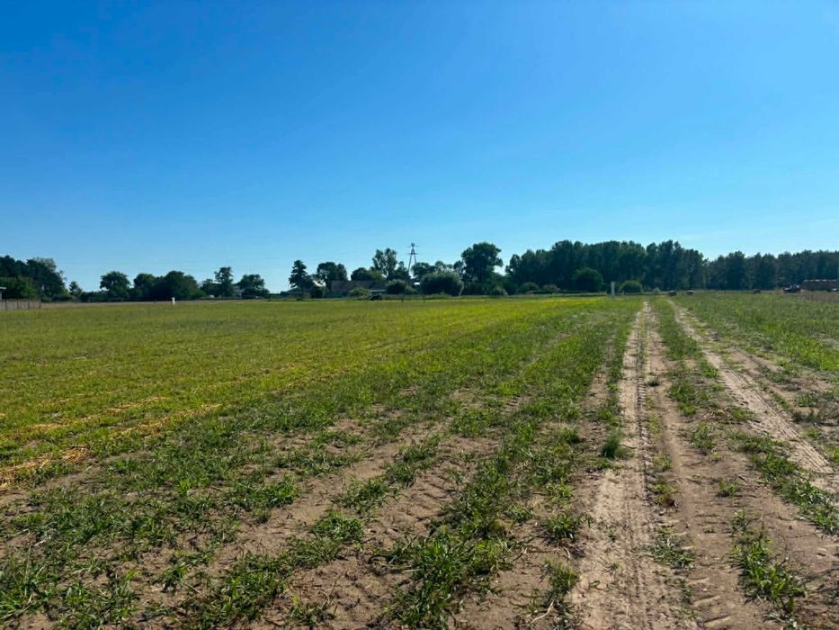 Działki budowlane uzbrojone, od 1115 do 2559 m² spokojna okolica, !!!OKAZJA!!! - Widok 5