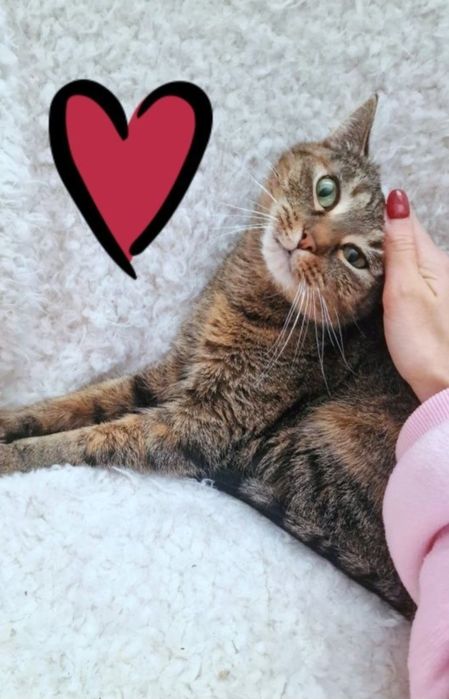 Osierocona i przekochana Lenka szuka domku