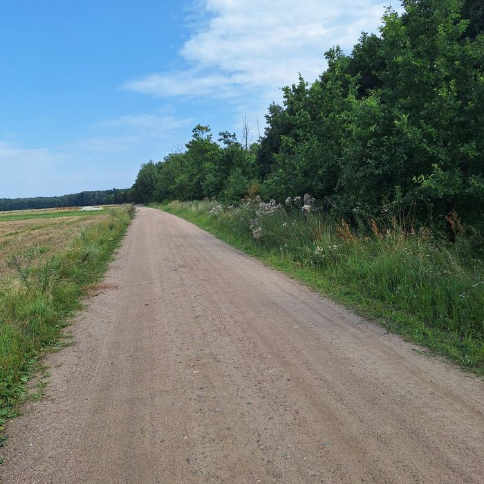 Działki budowlane w Ciszkowie gmina Czarnków ( województwo wielkopolskie) - Widok 5