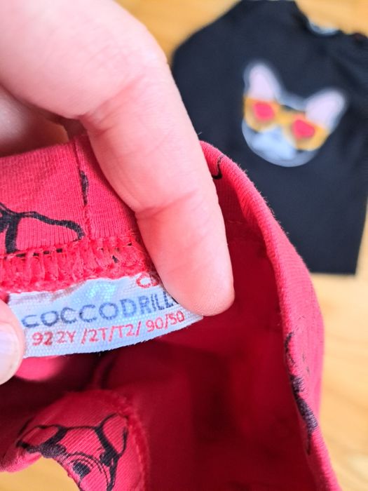 Komplet leginsy i bluzka Cocodrillo r. 92
