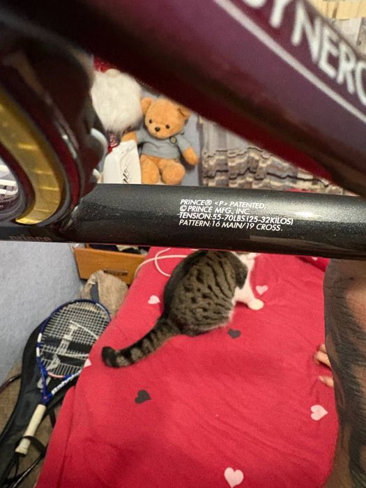 Prince CTS SYNERGY DB24 Oversized Tennis Racket