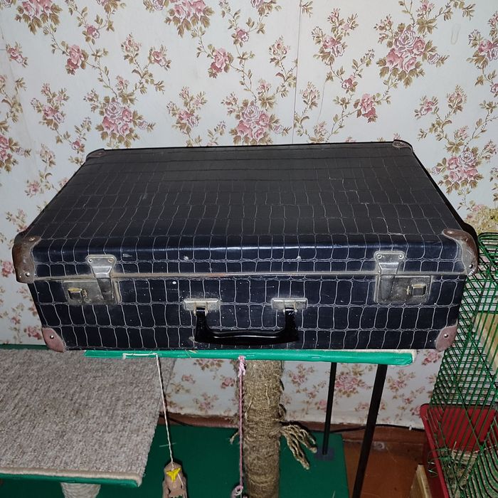 Продам недорого валізи часів союзу