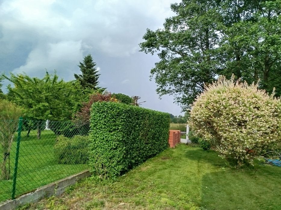 Usługi Ogrodnicze