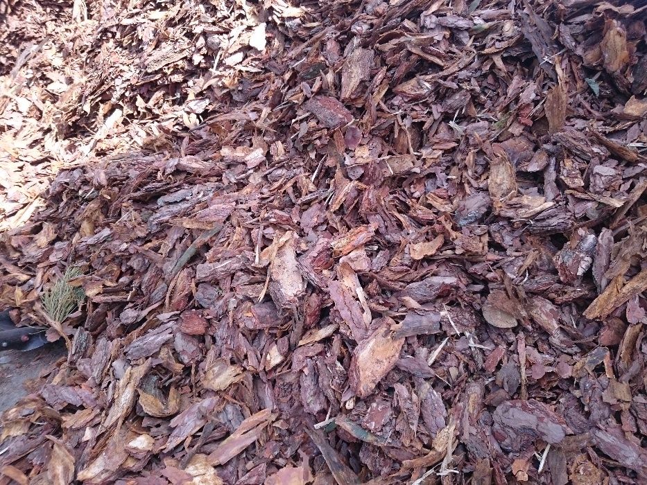 Kora Sosnowa Ogrodowa, worek 80l,