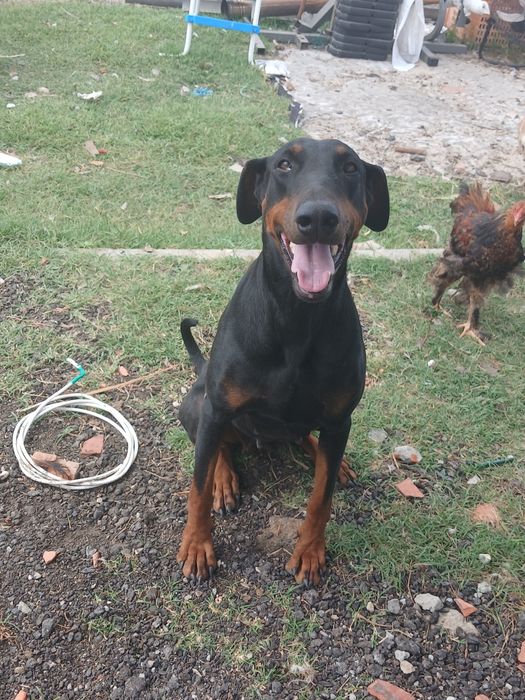 SKAY linda maravilhosa