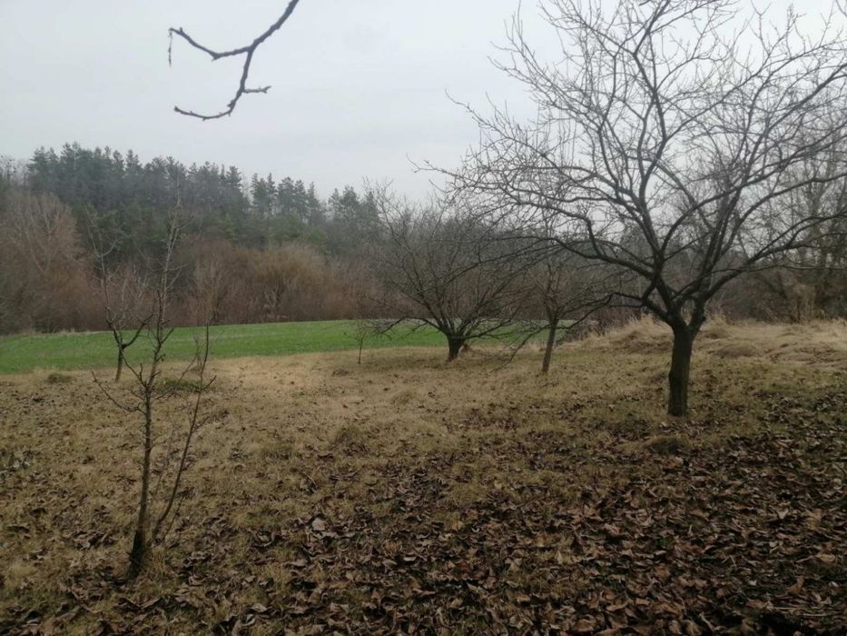 Продаж будинку та землі Богуслав с.Тептіївка.